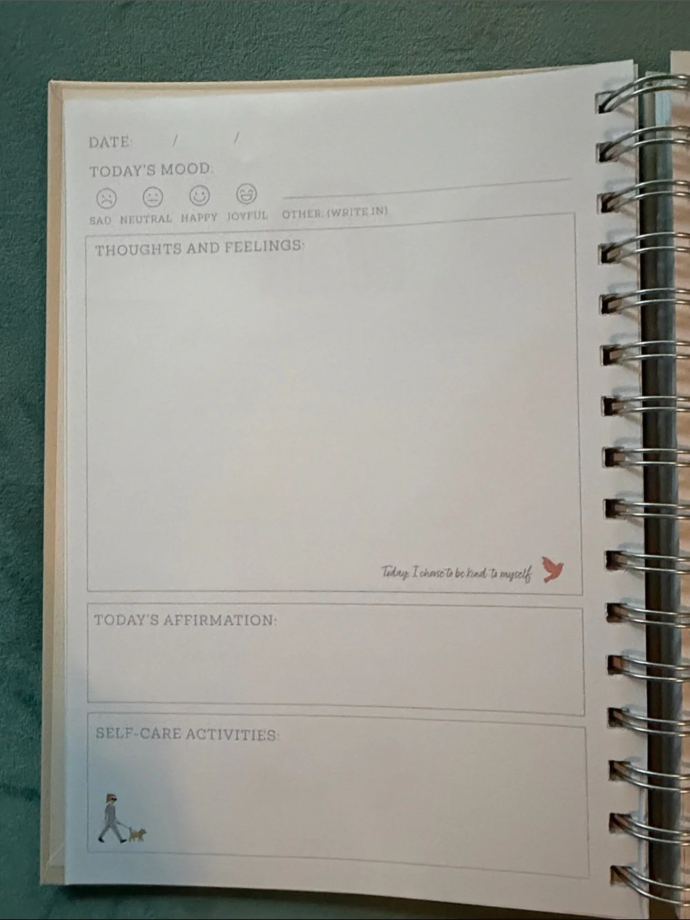 Gratitude Journal Spiral Notebook